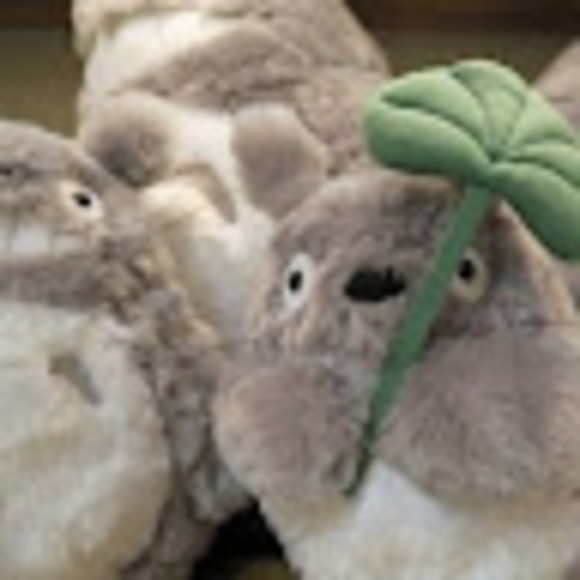 Meet your Posher, Ava - Picture 1 of 1